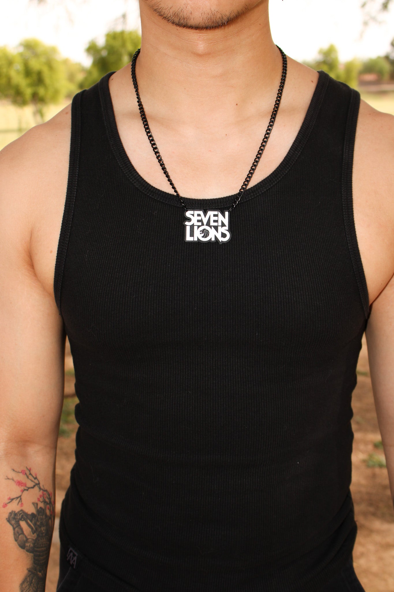 Seven Lions Accessory Set - Silver Holo